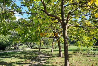 Parc Herastrau, 4 camere inchiriere renovat 2025, mobilat, 2 parcari, boxa - 24