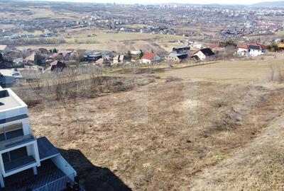 Teren Construcții intravilan de 2900 mp, în Borhanci