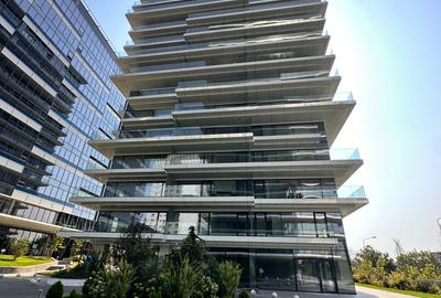 Floreasca - 26