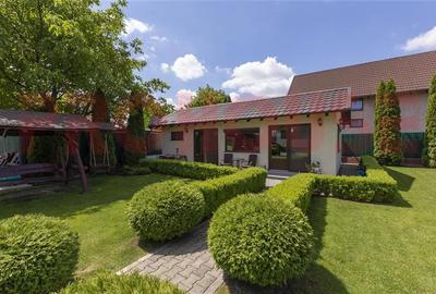 Domeniu superb - vila S+P+M si teren - 7