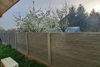Parta(inainte de pod, zona Munteni),  la 10km de Timisoara - 13