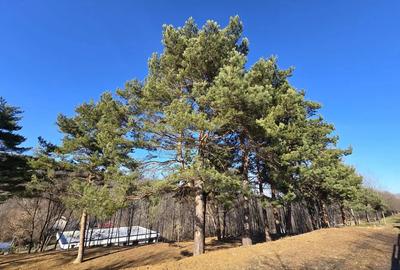 Teren de 3600 mp, în Cisnădioara