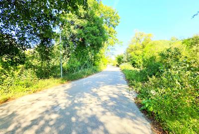 TEREN INTRAVILAN PROVITA DE SUS VALEA BRADULUI JUD PRAHOVA - 5