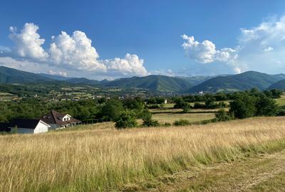 Teren intravilan 6.600 mp Tropinii Noi Rășinari –70 €/mp – PRIVELIȘTE PANORAMICĂ - 2