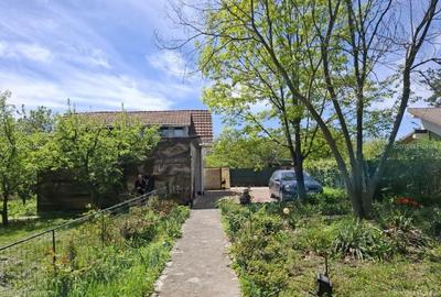 Snagov I Vila 5 Camere I Teren 1419 M I Garaj + Garsoniera Separat I Curte I - 12