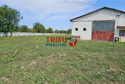Spațiu industrial, de 1,100 mp, în Ampoi 1