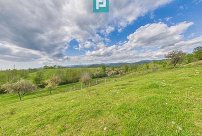 Casă cu teren de 17.681 mp, în loc. Hălmăgel, Arad - 27