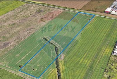 Teren comercial 5 ha, PUZ aprobat, acces direct Centura Nord Arad - 5