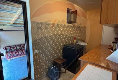 Casă / Vilă cu 6 camere in Bolotești, mobilată și utilată - 16