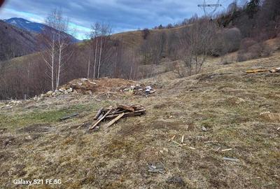 Teren, Zona de Interes Turistic-Cheile Gradistei,  8800mp - 4