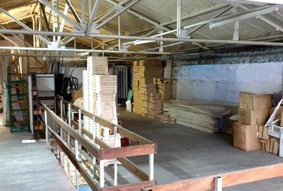 Spatiu comercial stradal Ion Ghica 17 - 5