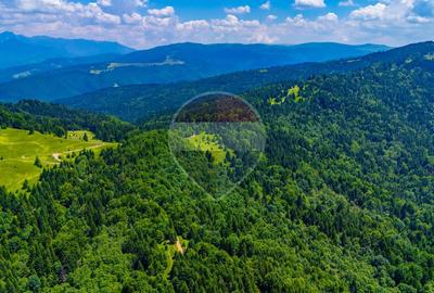 Refugiu în natură la Săcele | Teren 7.000 mp cu râu | Comision 0% - 15