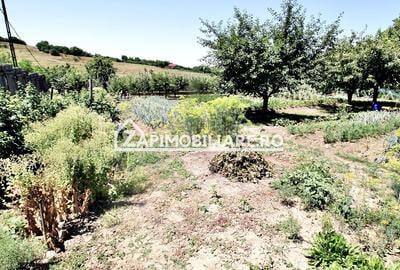 Teren intravilan 1.300 mp.zona Belvedere Targu Mures - 11