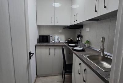 Metrou Costin Georgian, garsoniera moderna/lux, prima inchiriere. - 17