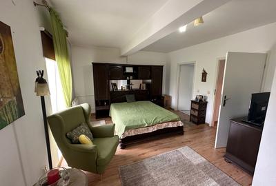 Casă / Vilă cu 5 camere zona Lunei - 20