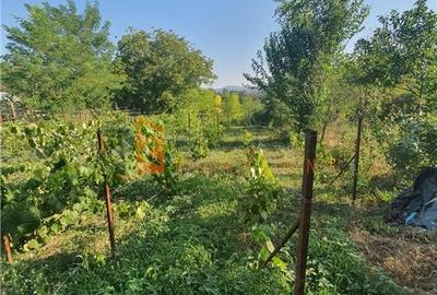 Exclusivitate! Teren intravilan zona Beceni - 3