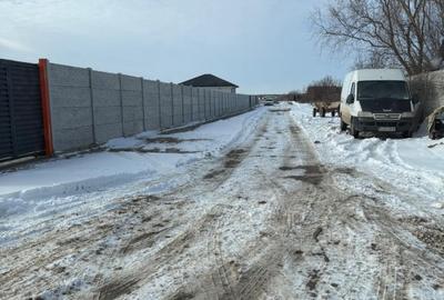 Vand lot de 400 mp2 in domnesti - 8