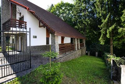 Vilă premium, Predeal, 7 camere, 6 băi, saună, 453mp teren - 9