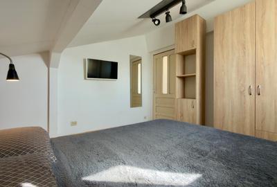 APARTAMENT 2 CAMERE DE INCHIRIAT OCCIDENTULUI MANSARDA - 10