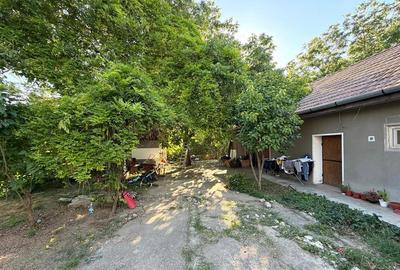 CASA PLAN PARTER | TEREN 620 MP | ACCES AUTO | ZONA SANTAUL MARE | BIHOR - 20