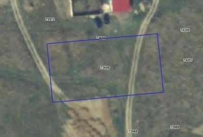 Teren Construcții intravilan de 1564 mp, în Cihei