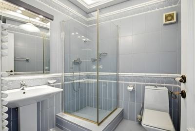 Vila cu arhitectura deosebita, adiacent Bd-ului  Lascar Catargiu, refacuta - 12