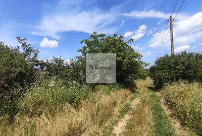 Teren de 11.000 mp cu casă și teren agricol | La 40 km de București | - 3