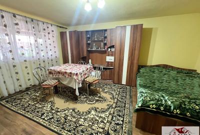 Vanzare casa in Vintu de Jos- Vurpar - 8