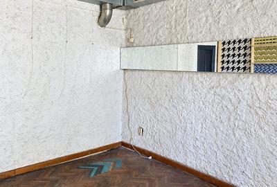 Investment property with character downtown Cismigiu park - 11
