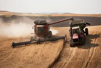 PORTOFOLIU AGRICOL PREMIUM 3.000 HA SUDUL ROMÂNIEI OPORTUNITATE INVESTIȚIONALĂ - 4