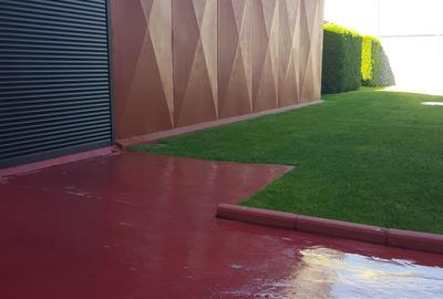 Vanzare vila zona Titulescu cu trei apartamente piscina garaj  gradina foisor - 20
