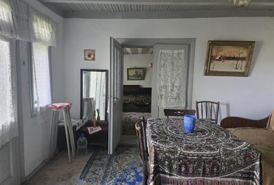 Casa batraneasca ,gradina cu vie si livada, fara agentie - 10