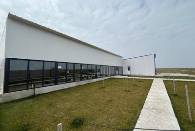 Teren Construcții intravilan de 8400 mp, în Exterior Est