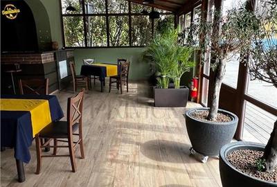 Spatiu comercial restaurant  cu cuptor pizza 200 mp - Lipovei - 2