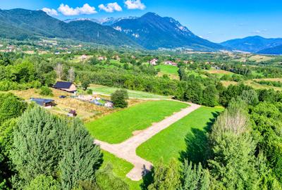 Teren intravilan zona Bran-Tohanita,langa padure intre 500 si 1000 m - 1