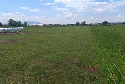Teren Intravilan de vanzare - 3