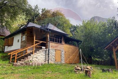 Casă de vacanță deosebită cu ciubăr si saună - natura si relaxare - 8