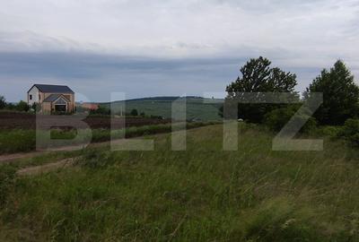 Teren Construcții intravilan de 500 mp, în Valea Lupului