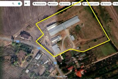 Proprietate specială, 4850 mp în Vitănești