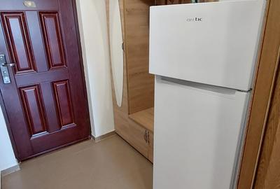 Apartament cu 1 camera in Tatarasi-Doi Baieti,la bulevard - 8