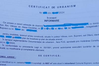Teren Padure 6857 mp. intravilan Com Bujoreni-Valcea - 8