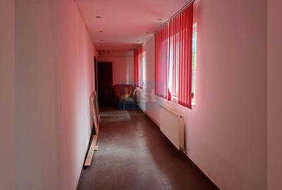 TEREN 1882 MP -  ZONA COSBUC┃ - 7