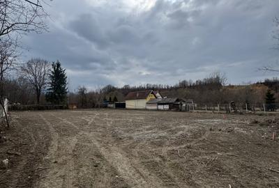 Teren Intravilan - parcelabil - 1.450 mp - Valea Avrigului - 2