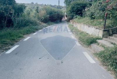Teren Construcții intravilan de 1170 mp, în Leamna de Jos