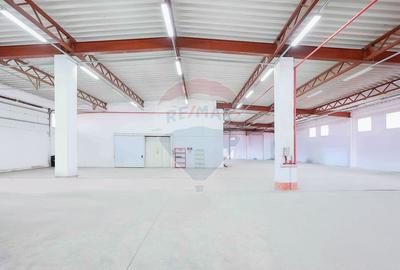 Spațiu industrial /hală de vânzare în zona Vest - 1