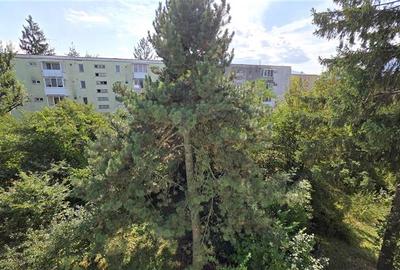 Astra, apartament mobilat si utilat modern - 15