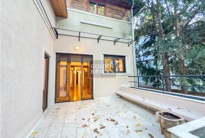 Aviatorilor | Kiseleff | Spatiu in vila cu terasa - 12