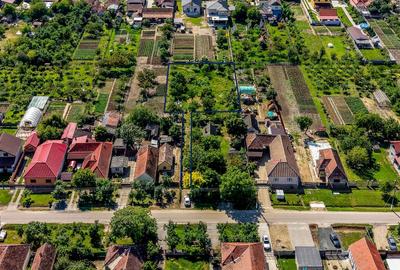 Teren Construcții intravilan de 1594 mp, în Cicir