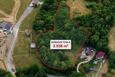 Teren Construcții intravilan de 2938 mp, în Sadu