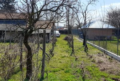 REFUGIUL TAU FATADE AGITATIA URBANA! - 1